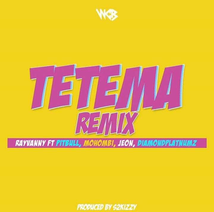 Rayvanny-Tetema-Remix-ft-Pitbull