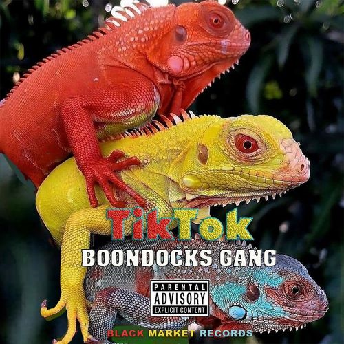 Boondocks-Gang-Tik-Tok-mp3-image