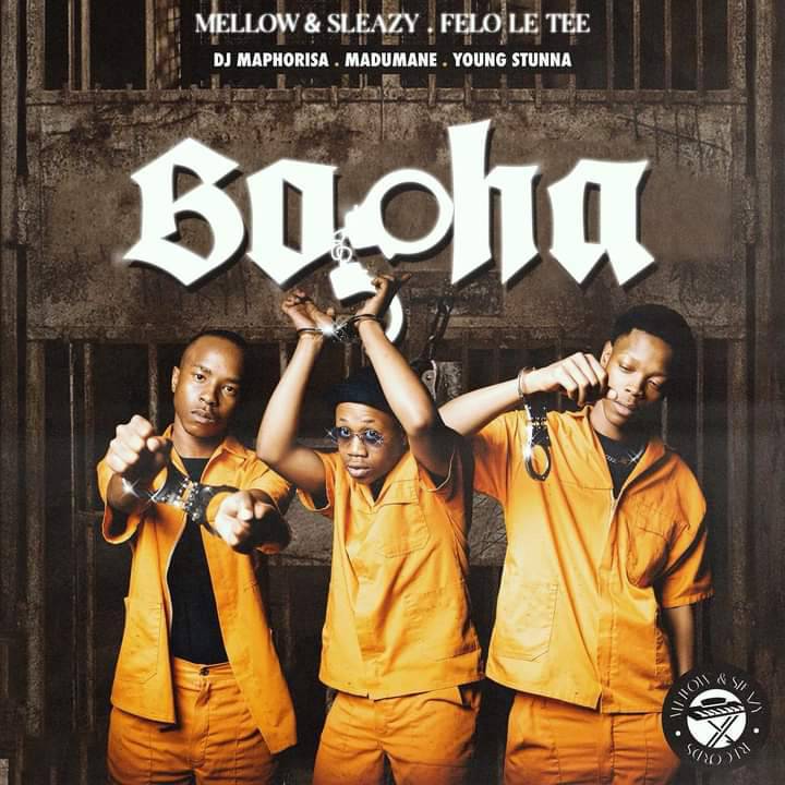 Bopha-by-Mellow-Sleazy
